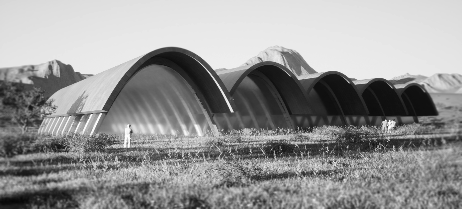 Parametric vaulted winery structure